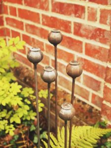 five steel poppy seed heads
